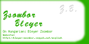 zsombor bleyer business card